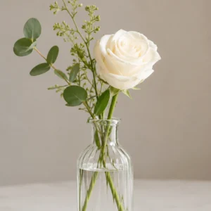 Bud Vases / Single Flower w/ Greenery